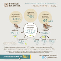 "День воробья" "День воробья".