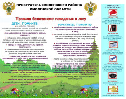 Памятка "Правила безопасности поведения в лесу" Памятка "Правила безопасности поведения в лесу".