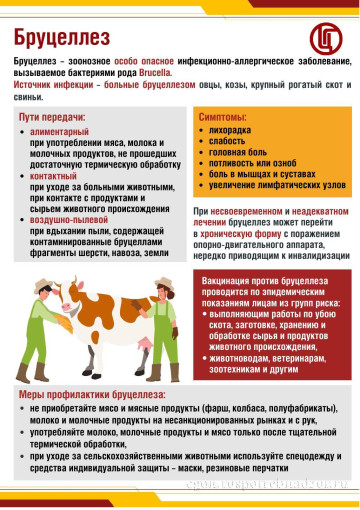 Памятка о бруцеллезе Памятка о бруцеллезе.