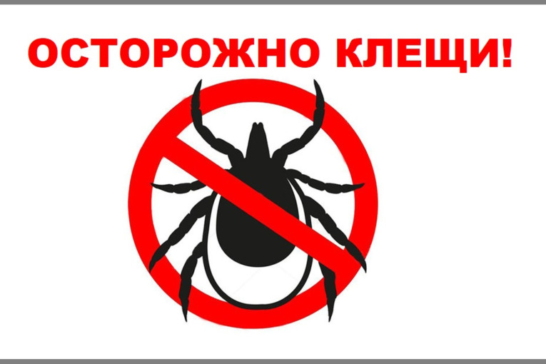 О Всероссийской горячей линии по по профилактике клещевого энцефалита и инфекций, передающихся клещами О Всероссийской горячей линии по по профилактике клещевого энцефалита и инфекций, передающихся клещами.